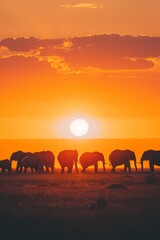 Fototapeta premium A herd of elephants traverses a dry grassy expanse beneath an vibrant orange-blue sky, with the sun casting distance