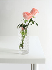 roses in vase