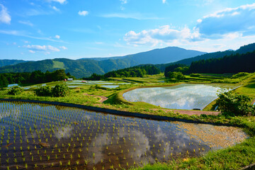別宮の棚田