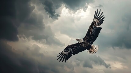 Naklejka premium An eagle flies through a cloudy sky, its wings spread wide, head raised