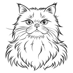 Fototapeta premium Hand drawing Persian cat vector version persian cat vector