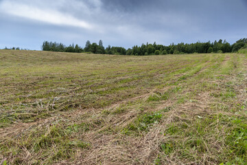 Mown field is under a cloudy sky