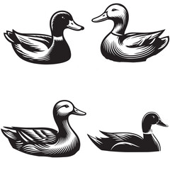 
4 sets black of  Duck Swimming silhouette isolated on white background png jpeg eps transparents
