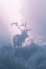 Naklejka premium A deer stands in a foggy field with antlers on its back The deer's large antlers are visible despite the fog