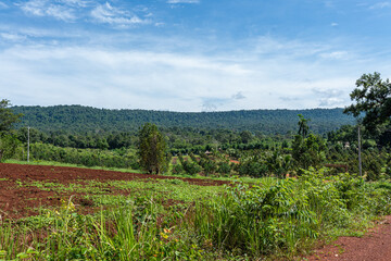 Landscape of mountains and forest with agriculture, vineyard, and green fields under a blue sky