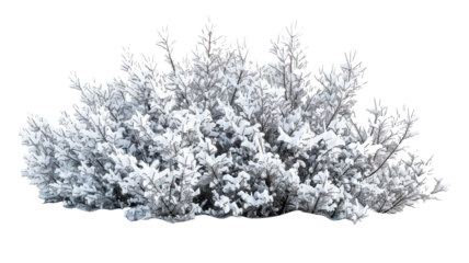 Beautiful Snowy Bush with Frosted Branches, isolated on transparent background