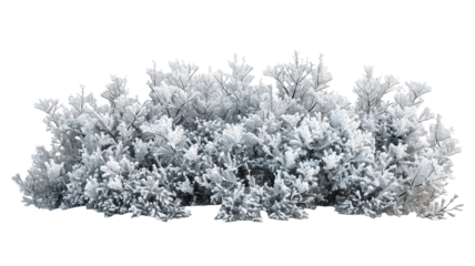 Beautiful Snowy Bush with Frosted Branches, isolated on transparent background