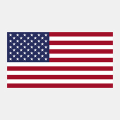 Obraz premium USA America flag icon flat vector design