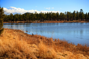 Fototapeta premium Lake of the Woods Arizona