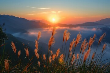 Fototapeta premium Sunrise over Mountain Landscape with Tall Grass