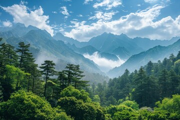 Fototapeta premium Breathtaking misty mountain landscape with lush forest