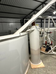 filtered water pours from plastic pipes into a pool of water where sturgeon are grown, the concept of breeding valuable species of commercial fish on an avk farm