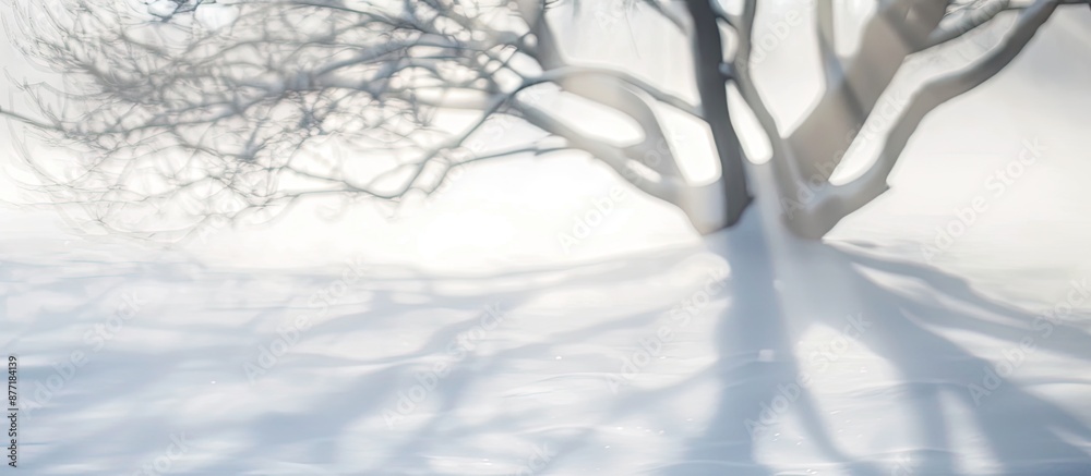 Aufkleber White background with blurred tree shadows giving an abstract appearance in the copy space image
