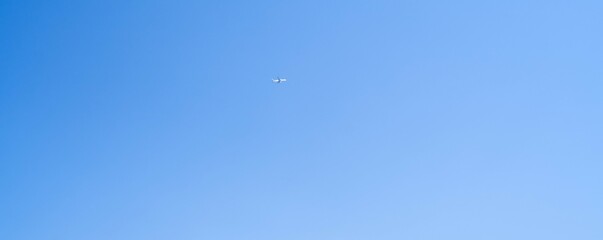 plane flies in the blue sky