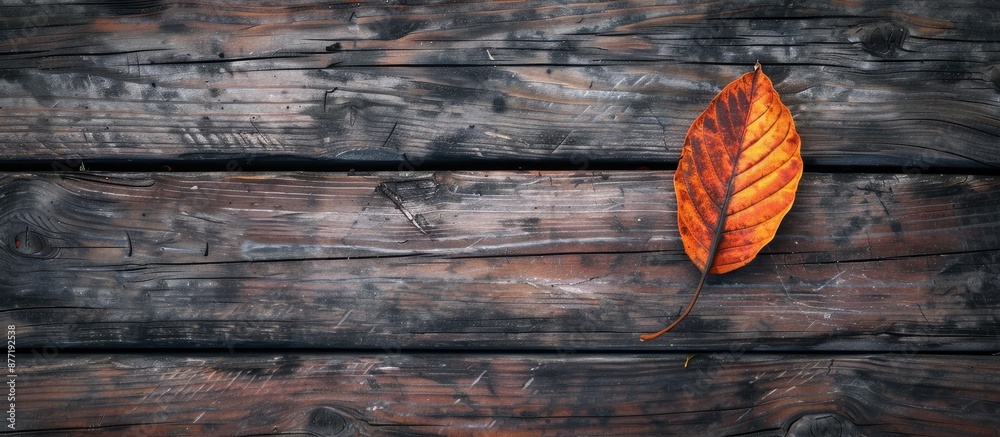 Aufkleber a fall themed picture featuring a dry leaf on a wooden backdrop with ample copy space image