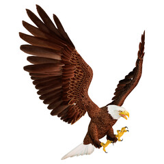 3D Rendering Eagle on White