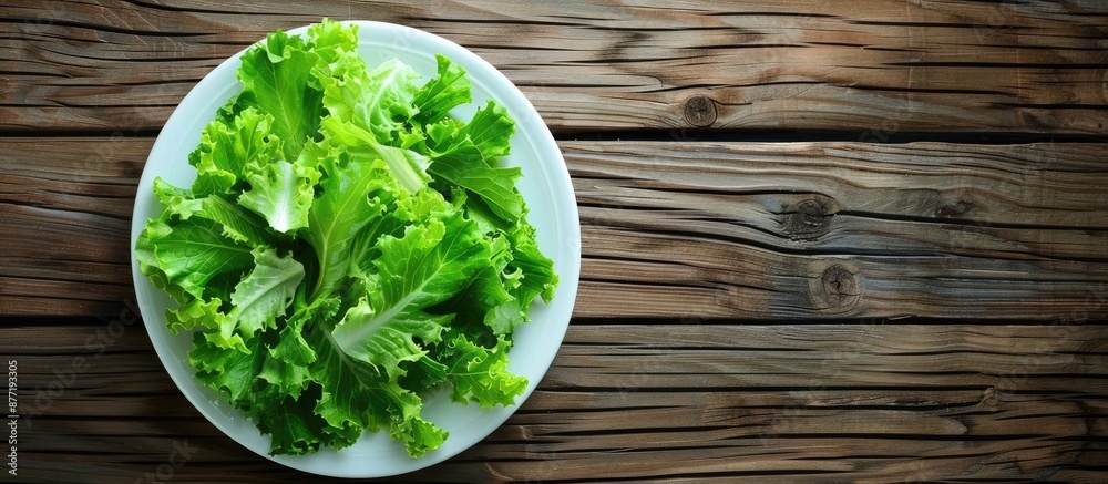 Leinwandbilder top view of a salad with crisp lettuce leaves in a white plate on a wooden table background featurin