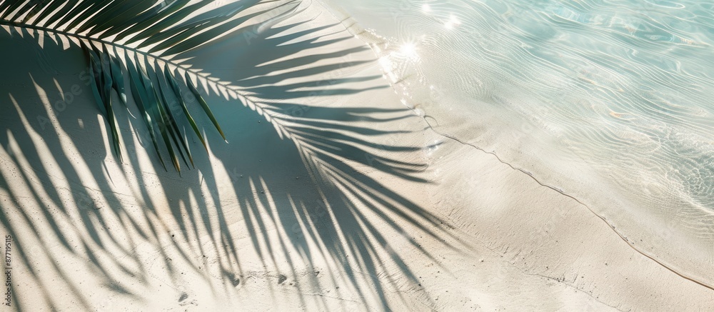 Aufkleber abstract beach background with a palm leaf shadow on white sand sunlight reflecting on the water sur