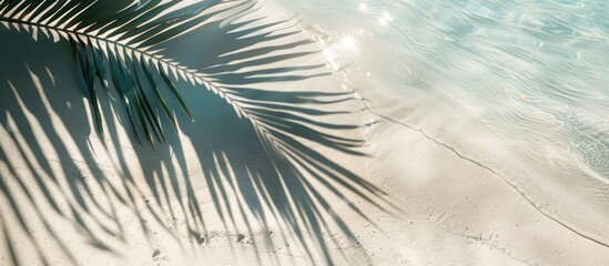 Obraz premium Abstract beach background with a palm leaf shadow on white sand sunlight reflecting on the water surface ideal for a summer vacation copy space image