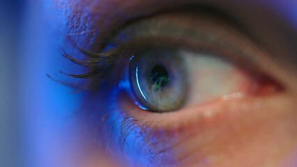 Woman in glasses looking on the monitor and working with data and analytics.