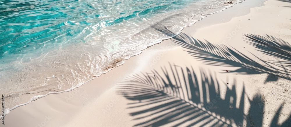 Poster abstract beach background with a palm leaf shadow on white sand sunlight reflecting on the water sur