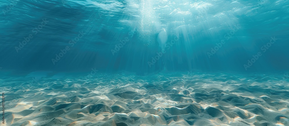 Poster Underwater background with a sandy sea bottom ideal for copy space image