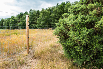 Fototapeta premium Newly installed electric fence and wooden posts seen on a farm within an area of natural beauty in the UK. A distant forest can be seen.