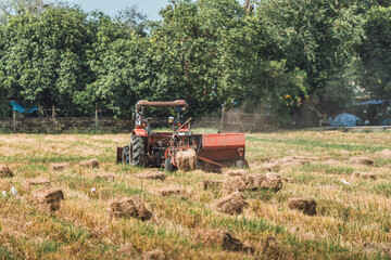 Fototapeta premium Tractor working on rice filed during harvest season in farmland