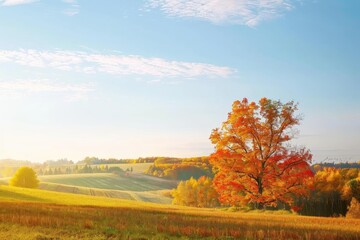 Naklejka premium A beautiful autumn landscape with a single vibrant tree in a colorful field under a clear sky, capturing the essence of fall scenery.