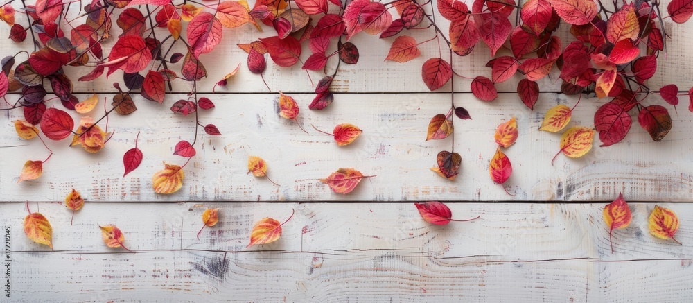 Aufkleber beautiful rustic autumn background or web banner featuring a top view of a border made of red and ye