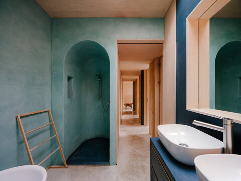 Interior of a modern bath room with a hall way covered with wood and a dog in the back.