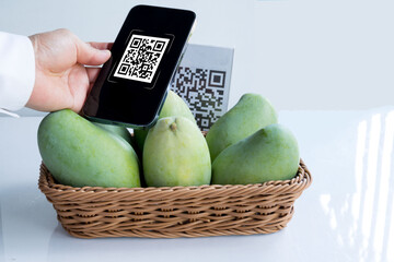 Customer hand using smart phone to scan QR code tag with mangoes shop or restaurant to accepted generate digital pay without money. Qr code payment concept.