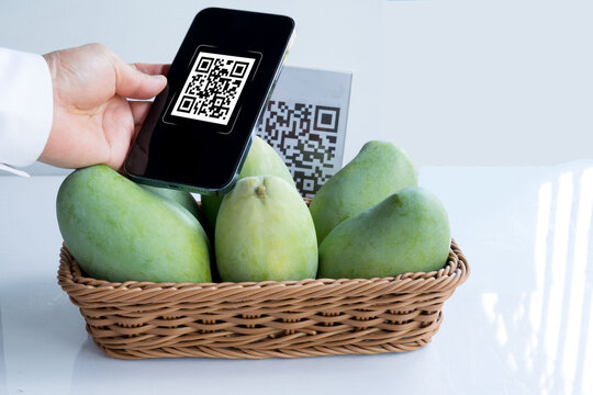 Customer hand using smart phone to scan QR code tag with mangoes shop or restaurant to accepted generate digital pay without money. Qr code payment concept.