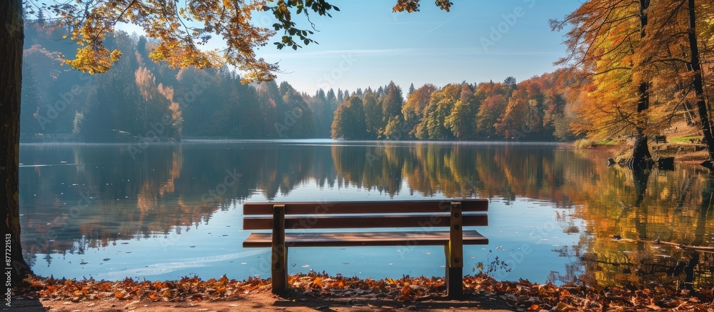 Poster a picturesque scene of stunning trees mirrored in the lake on a sunny day surrounded by a wooden ben