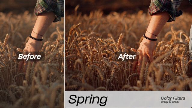 Spring Color Filters 