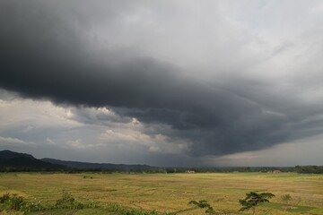 Cumulonimbus clouds are towering vertical clouds that are very tall, dense, and involved in...