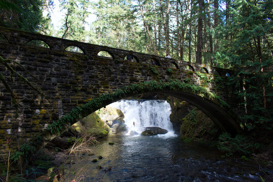 old mossy bridge over the river