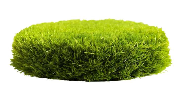 Patch of fresh green lawn grass, cut out