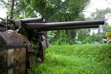 Pohnpei Islands Micronesia traces of the second world war on a cloudy autumn day