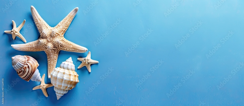Aufkleber starfish and shell on a vibrant blue background with copy space image