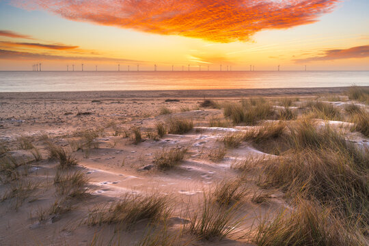Ciaster Sunrise over Dunes.