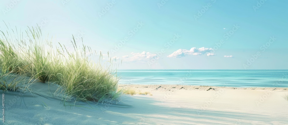 Poster summertime seaside scene with a tranquil beach and a clear sky ideal for a copy space image