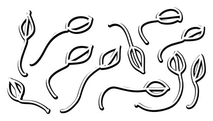 set of leaves. vector silhouette