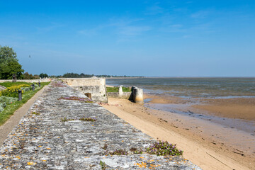 Le Ch&acirc;teau d'Ol&eacute;ron
