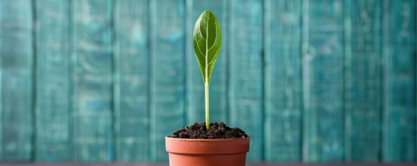 Non-profit organization hosting a sustainability awareness event, sustainability management, community outreach, environmental advocacy