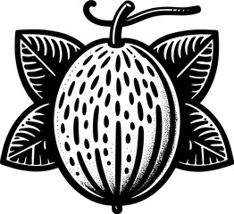 Honeydew Fruit icon 13