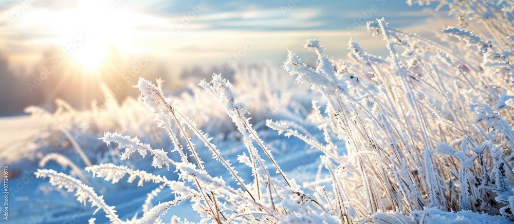 Poster a frosty grass winter scene with room for a copy space image