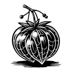 Groundcherry Fruit icon 12