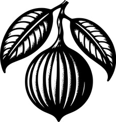 Genip Mamoncillo Fruit icon 8