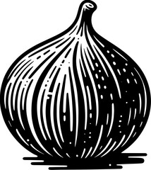 Fig Fruit icon 2